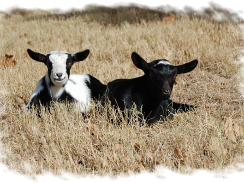 Yep, we are sunning.