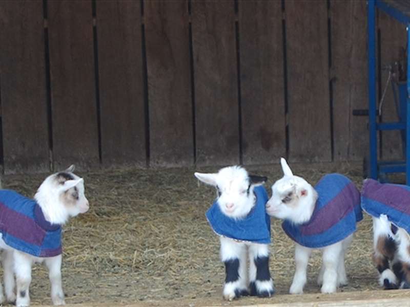 See our new winter jackets.