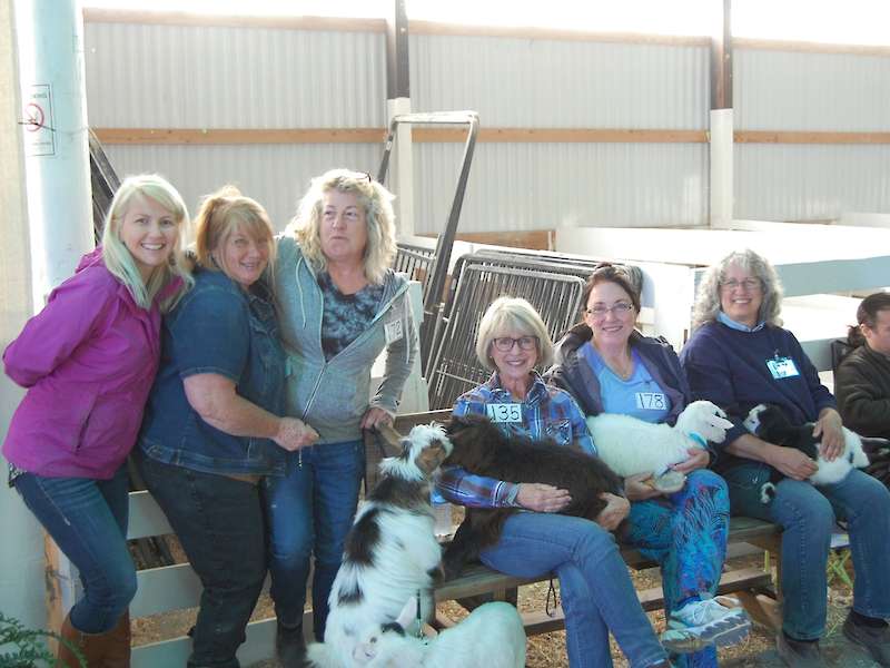 Some girls having fun at the Rustic Elegance Show in Ohio.