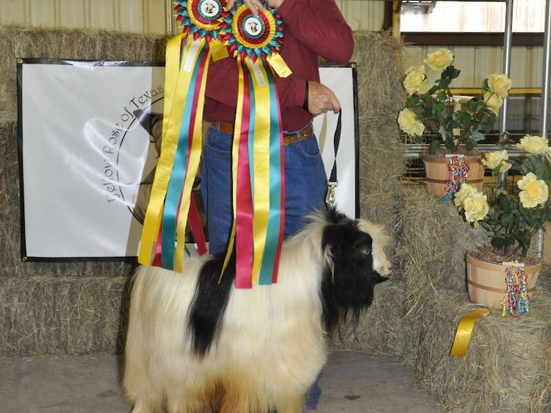 Hubby showing his wins.