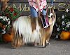 MCH Frassenei Farms Curly Wurly 
